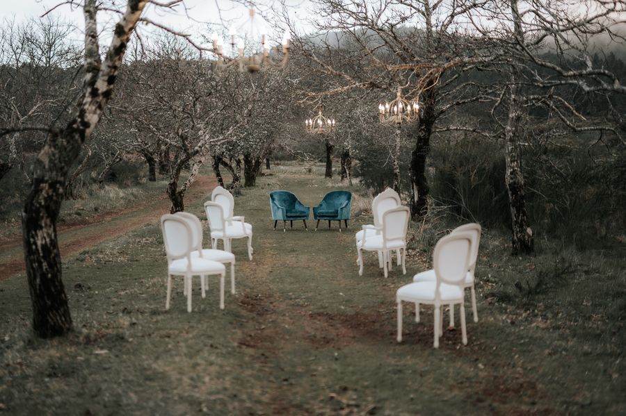 Mobiliario entre árboles de colores azul y blanco con lámparas colgadas de los árboles